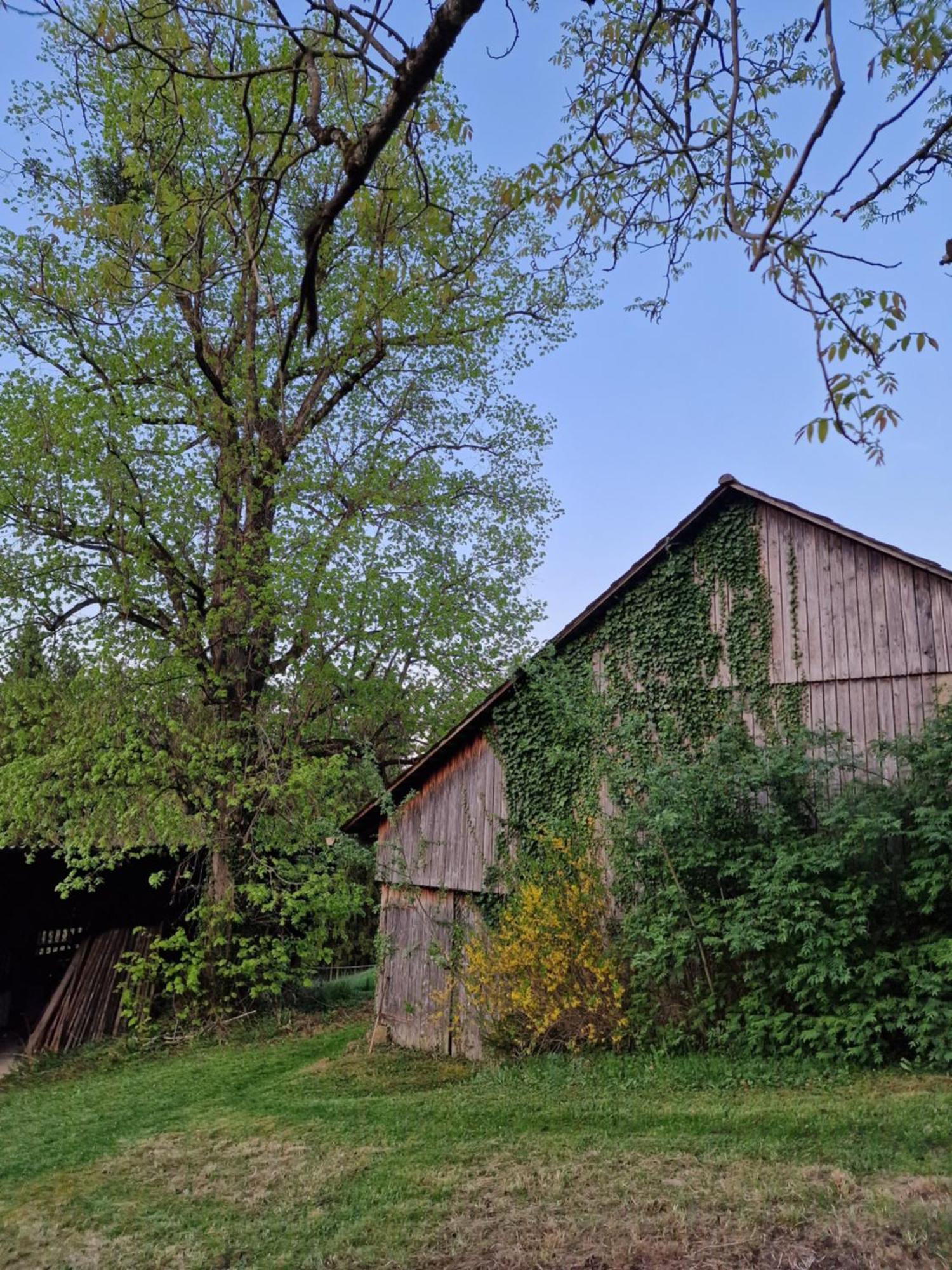 Natur- & Erlebnis Ferienhaus フォイツベルク エクステリア 写真